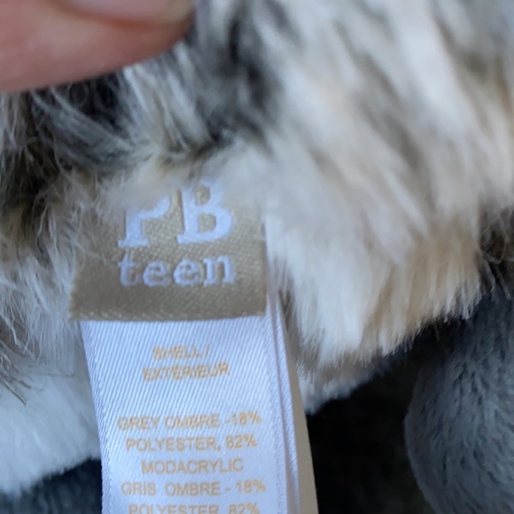 Pottery Barn Teen Bluetooth Speaker Racoon - Picture 7 of 14